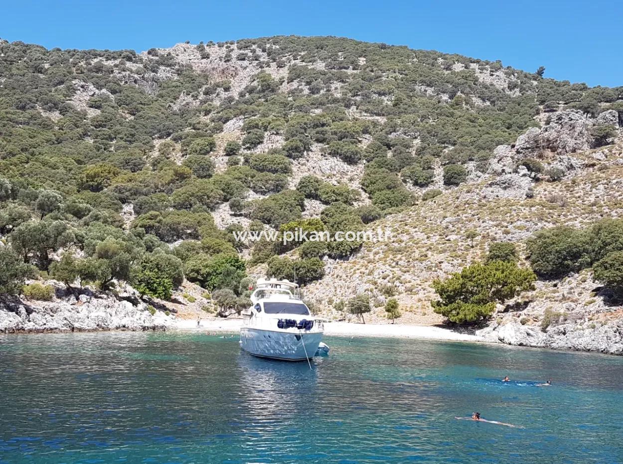 Fethiye Göcek Insel Sea Side Lage 2600 M2 Olivenhain Zum Verkauf