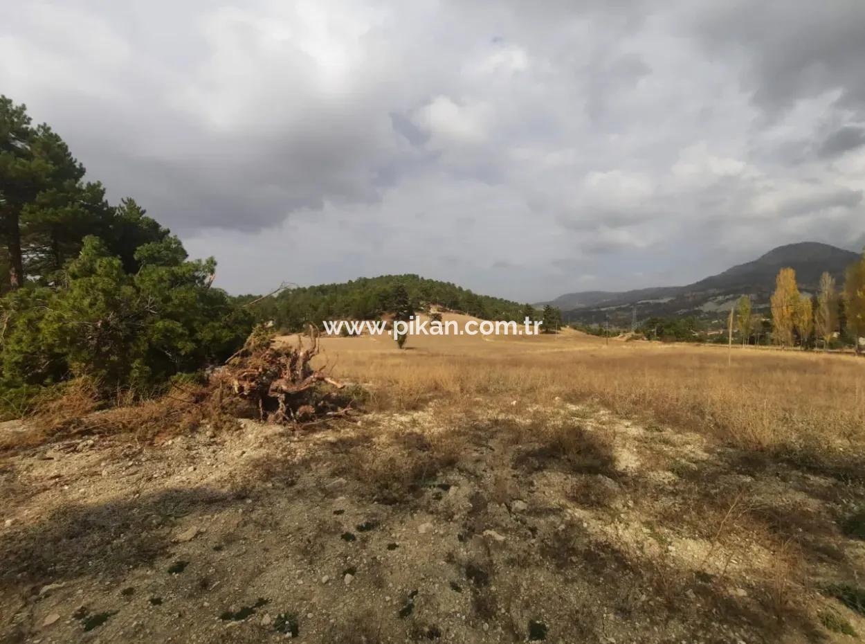 6 230 M2 Freistehendes Grundstück Zum Verkauf Oder Tausch An Der Alten Acıpayam-Straße In Çameli Cumanda