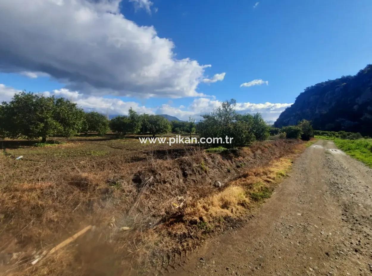 20.000 M2 In Muğla Ortaca Okçular Marmarlı, Grundstück Zum Verkauf Im Bebauungsplan