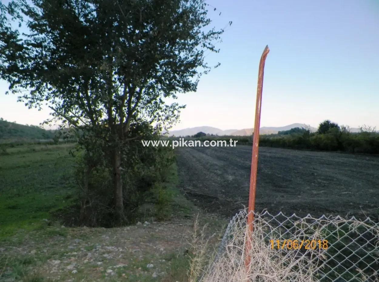 Bauernhof Zum Verkauf In Oriya Yeşilyurt