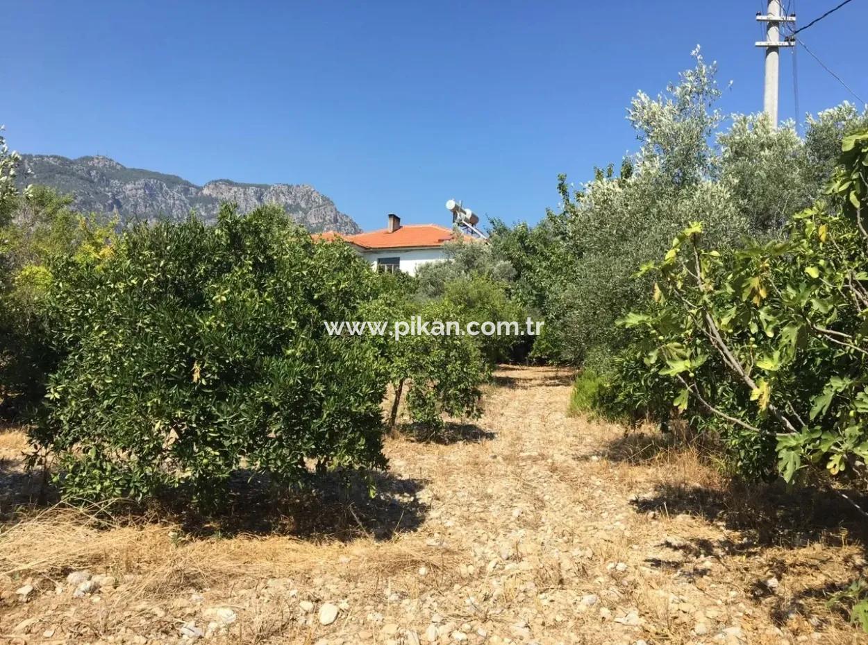 Blick Auf Den See Land For Sale In Zeytinalani