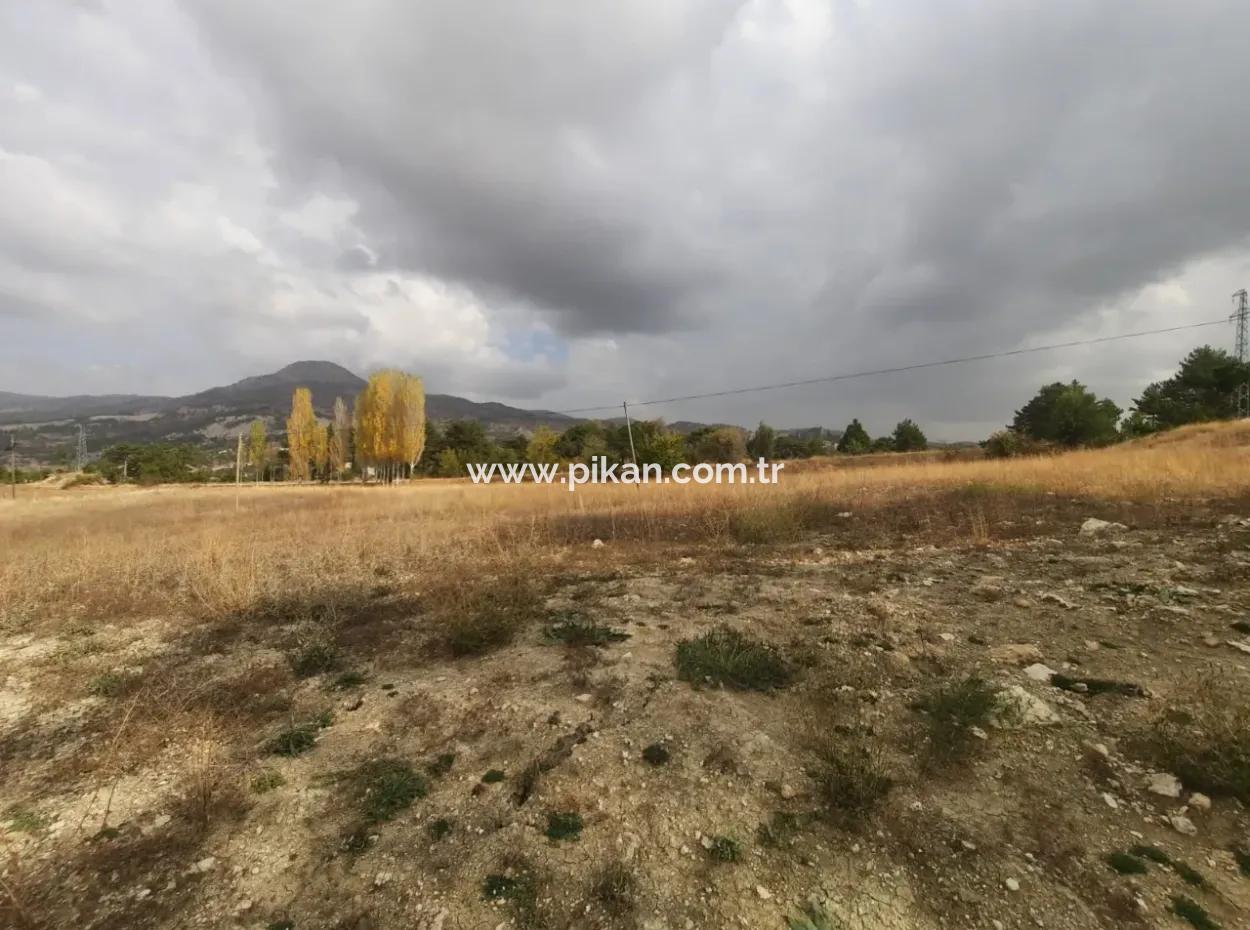 6 230 M2 Fruchtbares Land Zur Miete In Çameli Cumaalanı