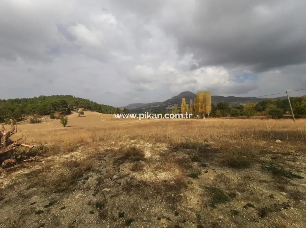 6 230 M2 Fruchtbares Land Zur Miete In Çameli Cumaalanı