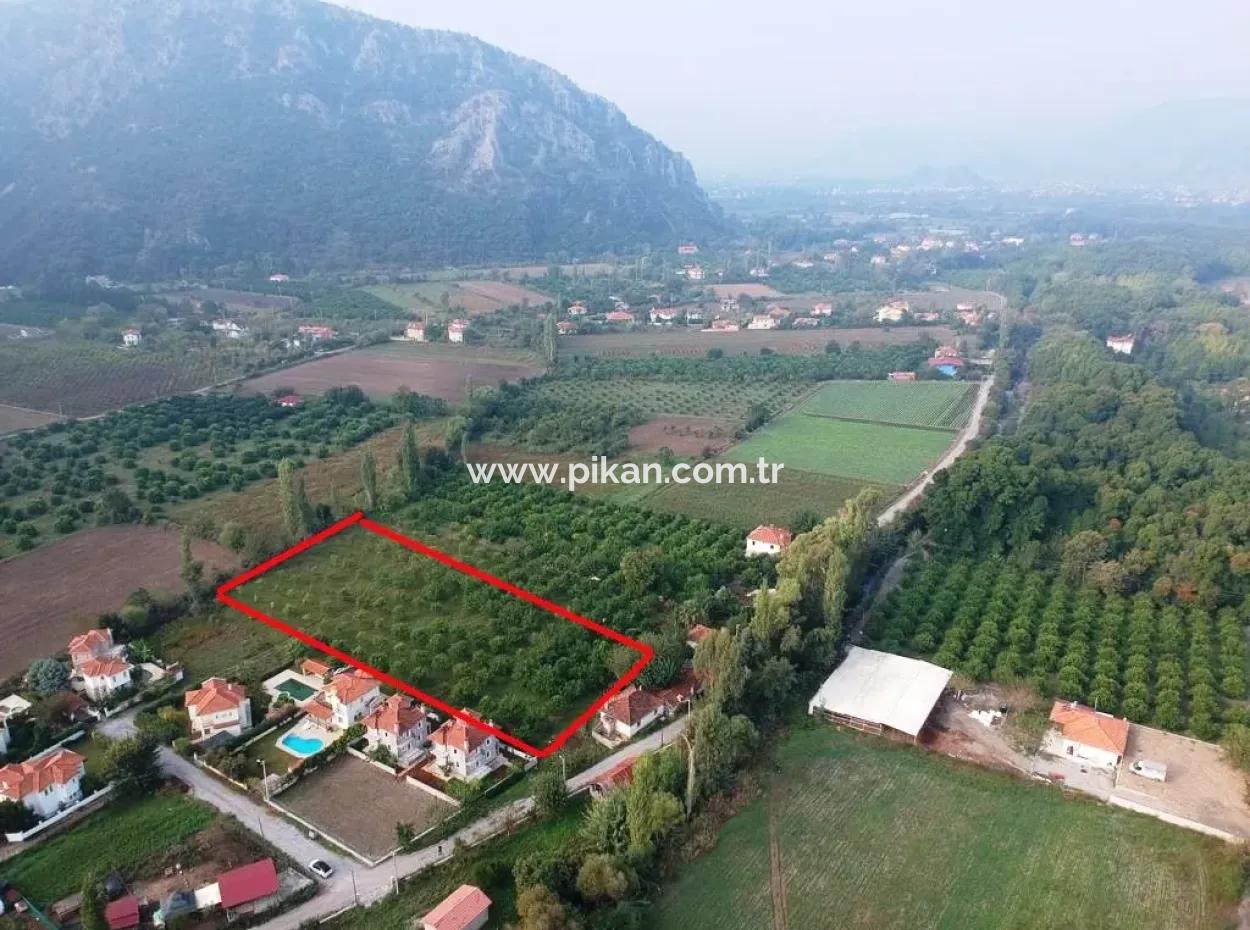 Muğla Ortaca Marmarlıda 4.000 M2 Zitronengarten 5 Jahre Vermietung