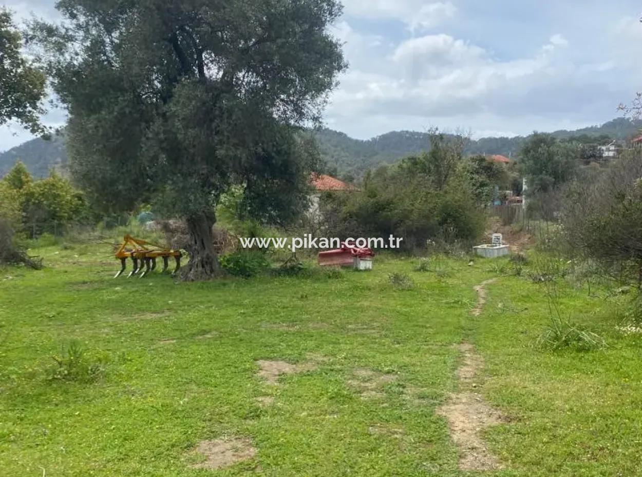541 M2 Freistehendes Grundstück Zum Verkauf In Çandır, Muğla Köyceğiz