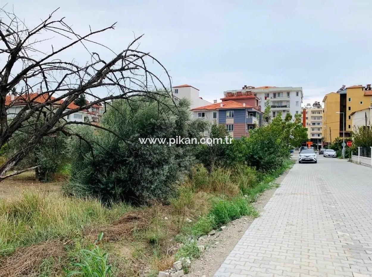Wohn-Grundstück Für Verkauf In Der Mitte Von Oriya
