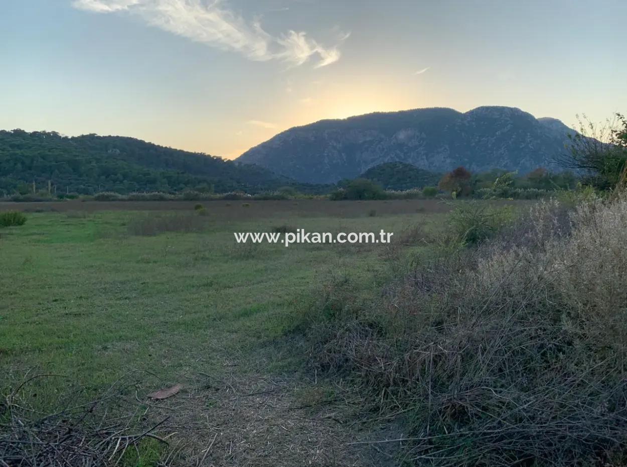 26.200 M2 Freistehendes Feld Und 3.000 M2 Zum Verkauf In Ortaca Güzelyurt