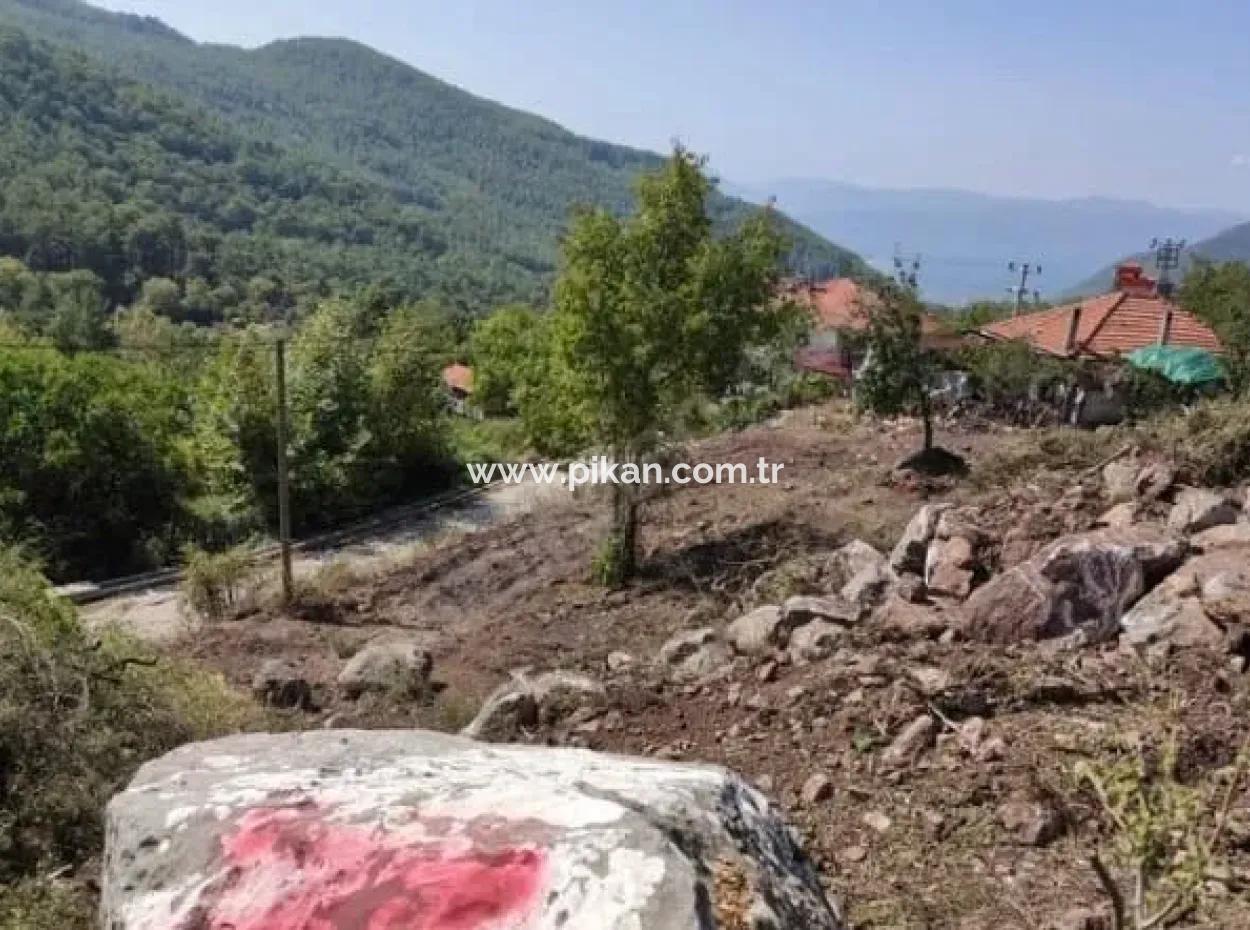 Muğla Köyceğiz Yayla Mah 570 M2 Grundstück Zum Verkauf