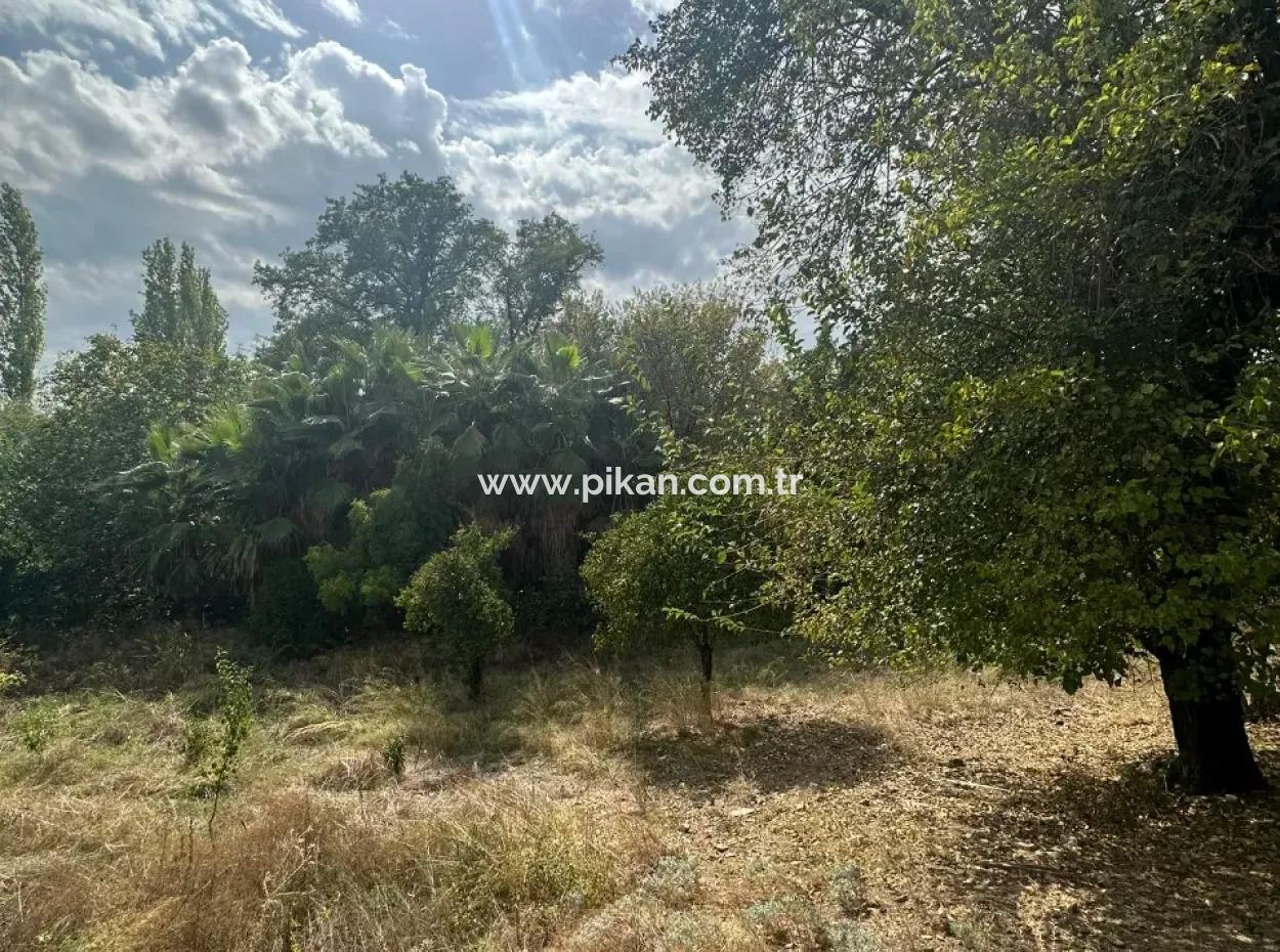 For Sale And In Koycegiz 1026 M2