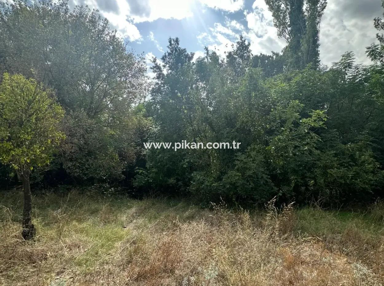 For Sale And In Koycegiz 1026 M2