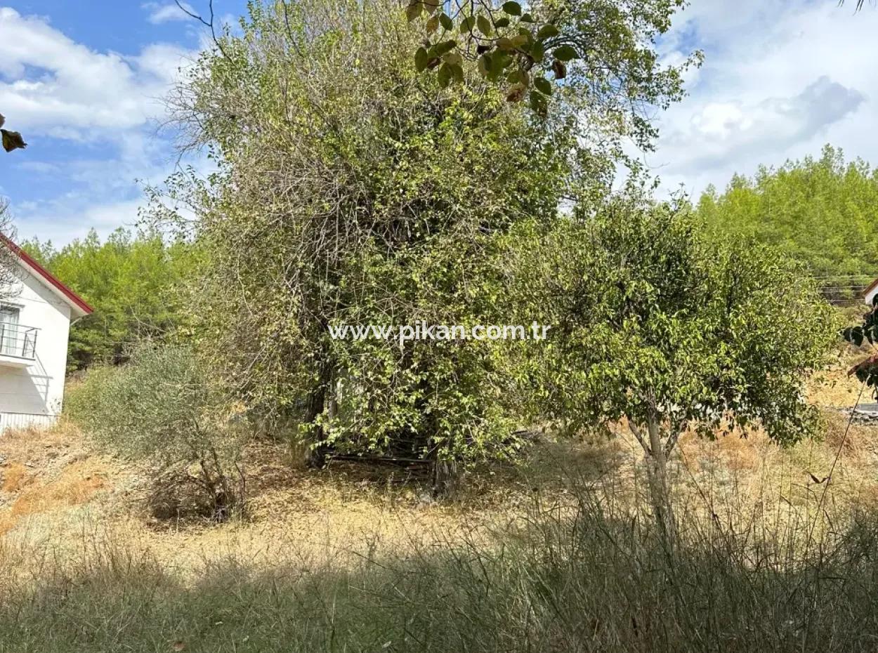 For Sale And In Koycegiz 1026 M2