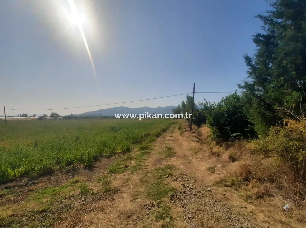 Muğla Ortaca Ekşiliyurt 8.000 M2 Fruchtbares Land Zum Verkauf