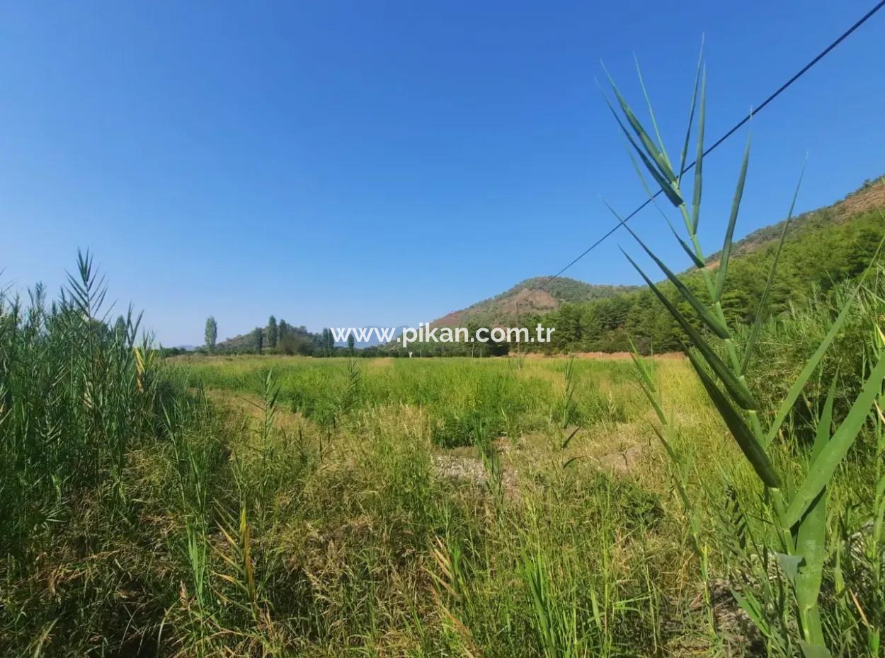 Muğla Ortaca Ekşiliyurt 8.000 M2 Fruchtbares Land Zum Verkauf