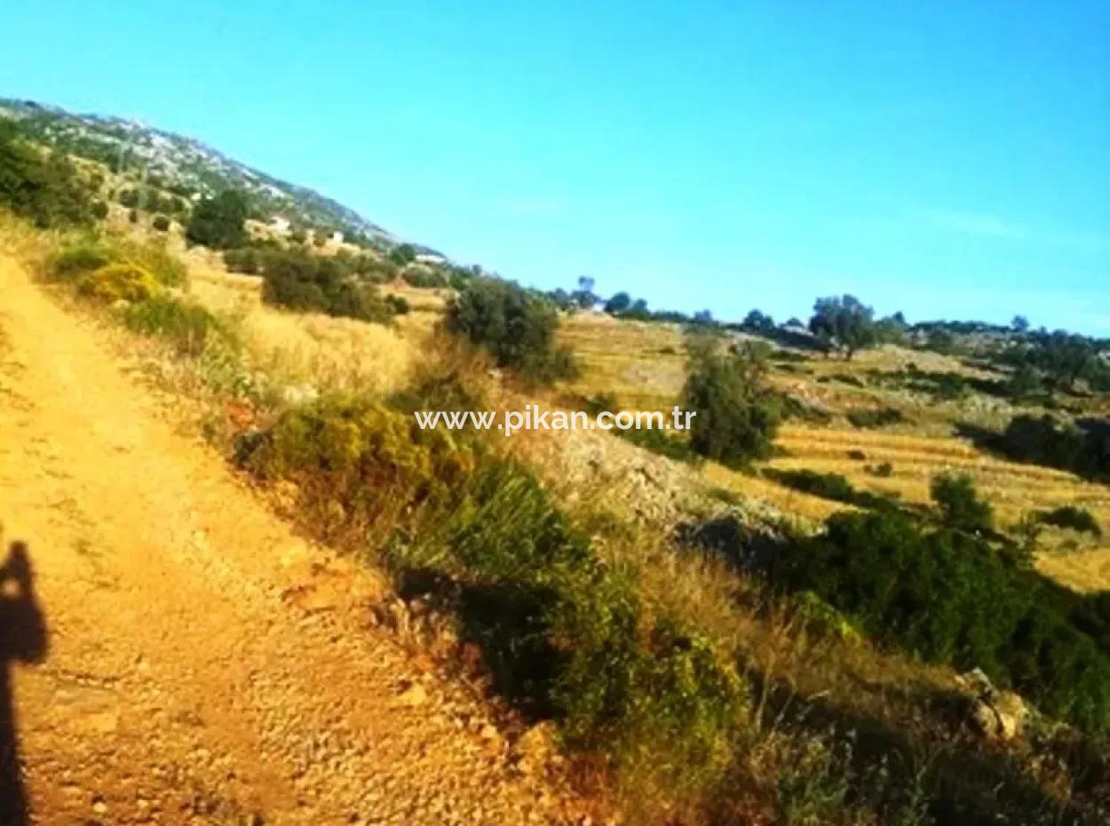 Grundstück Mit Meerblick Zum Verkauf In Boğaziçi Seydikemer