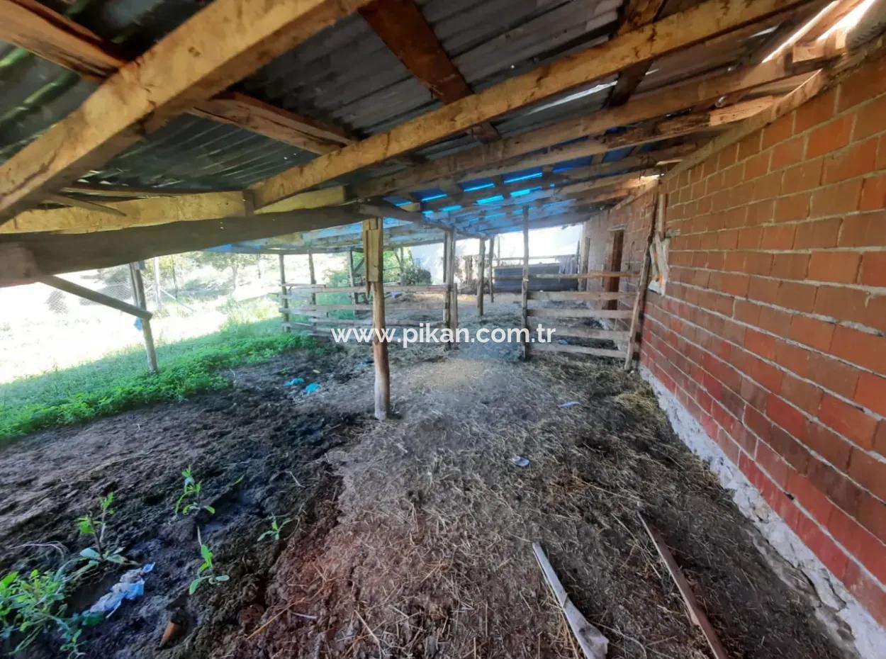 5 000 M2 Grundstück In Çameli Kızılyaka 2 In 1 Einfamilienhaus Und Scheune Zu Vermieten