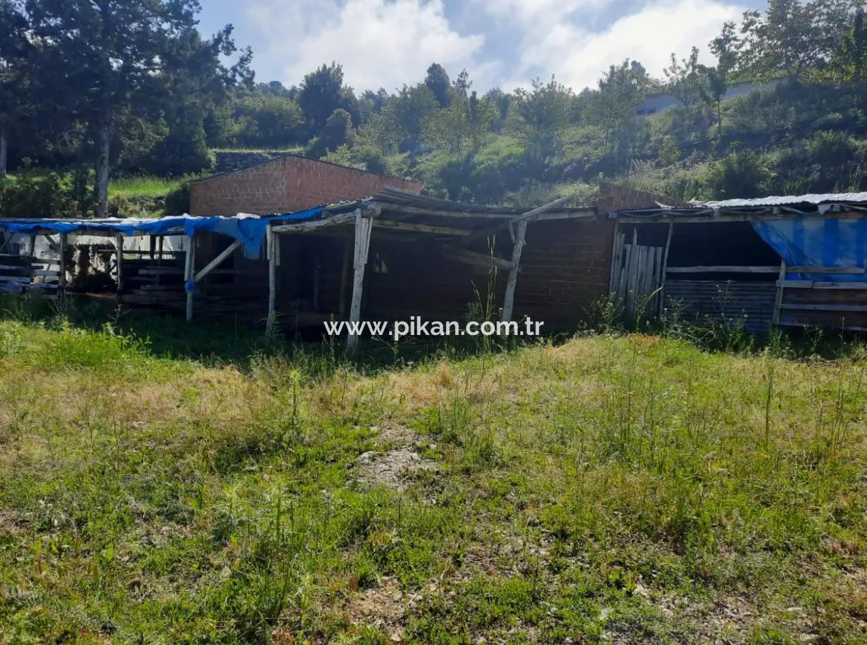 5 000 M2 Grundstück In Çameli Kızılyaka 2 In 1 Einfamilienhaus Und Scheune Zu Vermieten
