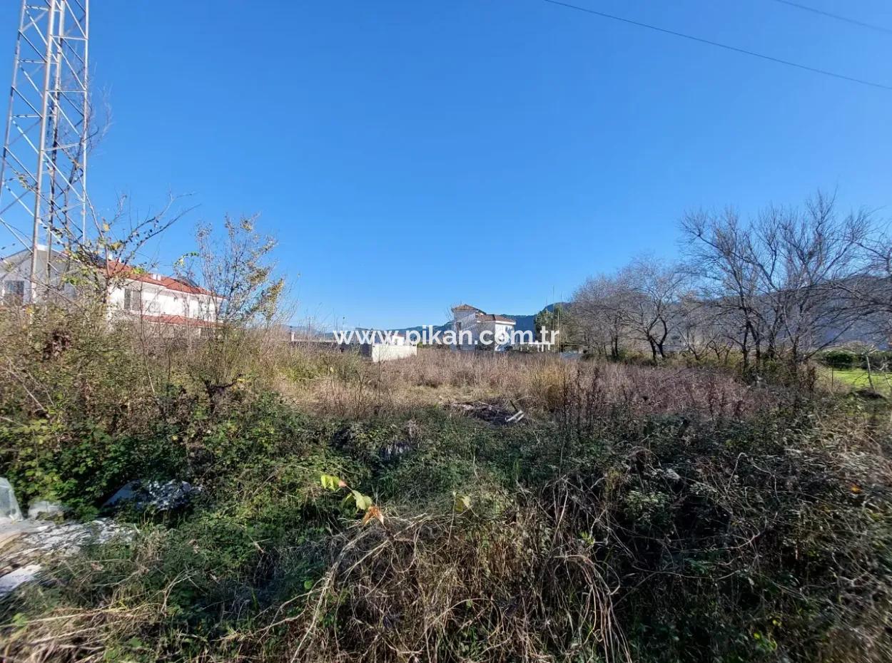 1500 M2 Zoniertes Grundstück Zur Miete In Muğla Dalyan