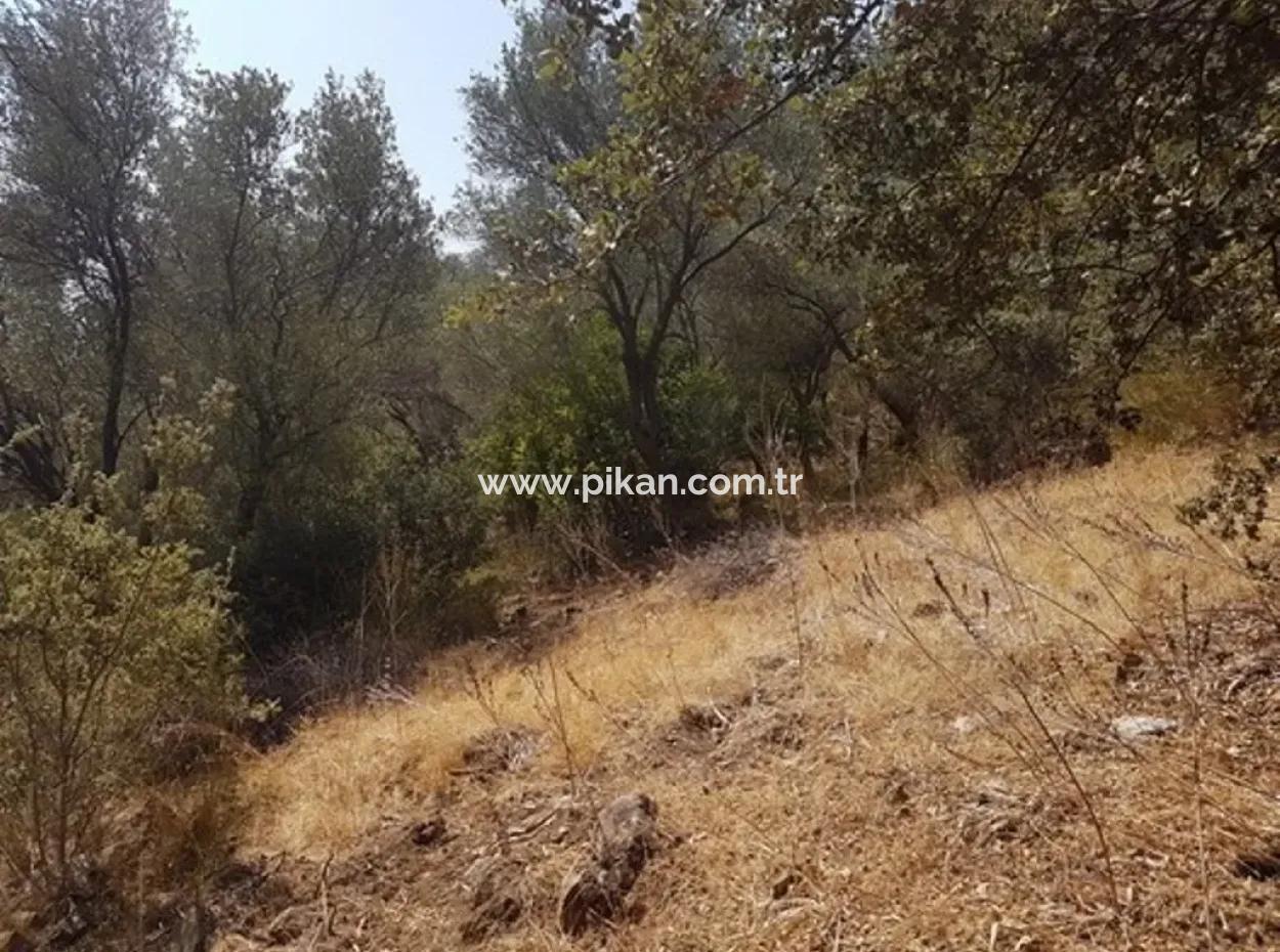 Ausgezeichnete Grundstück Zum Verkauf Schnäppchen