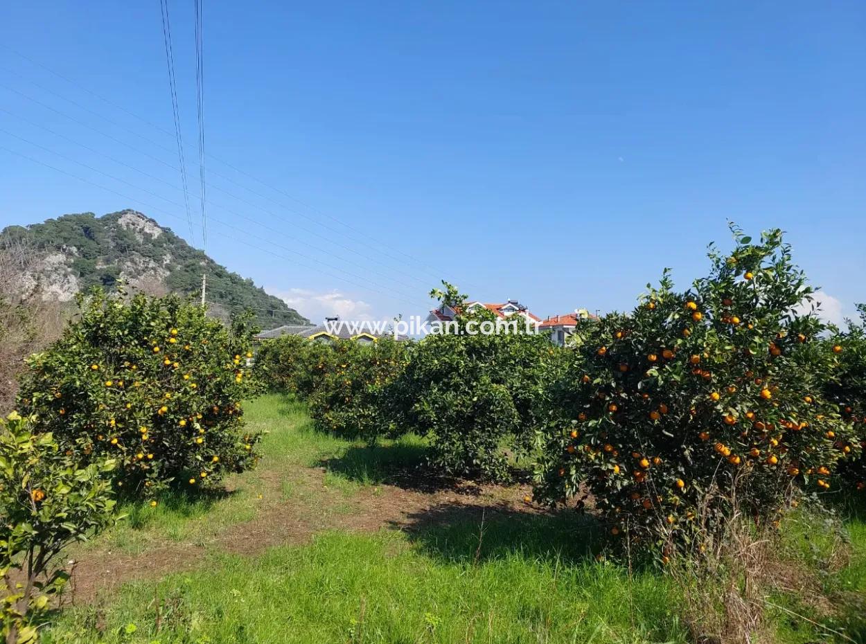 722 M2 Freistehendes Grundstück Zum Kauf In Dalyan, Muğla