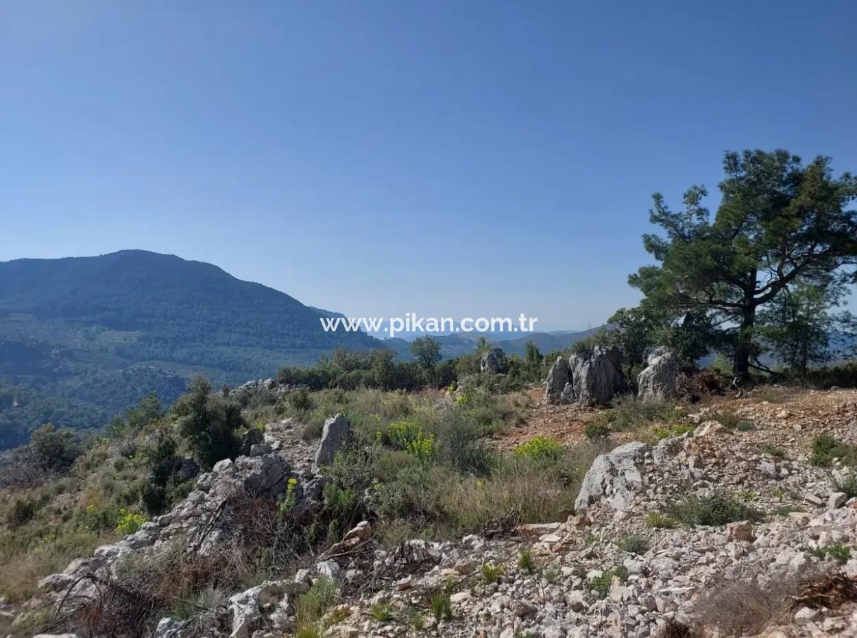 1 300 M2 63 M2 Zoniertes Grundstück Zum Verkauf In Göcek Gökçeovacik