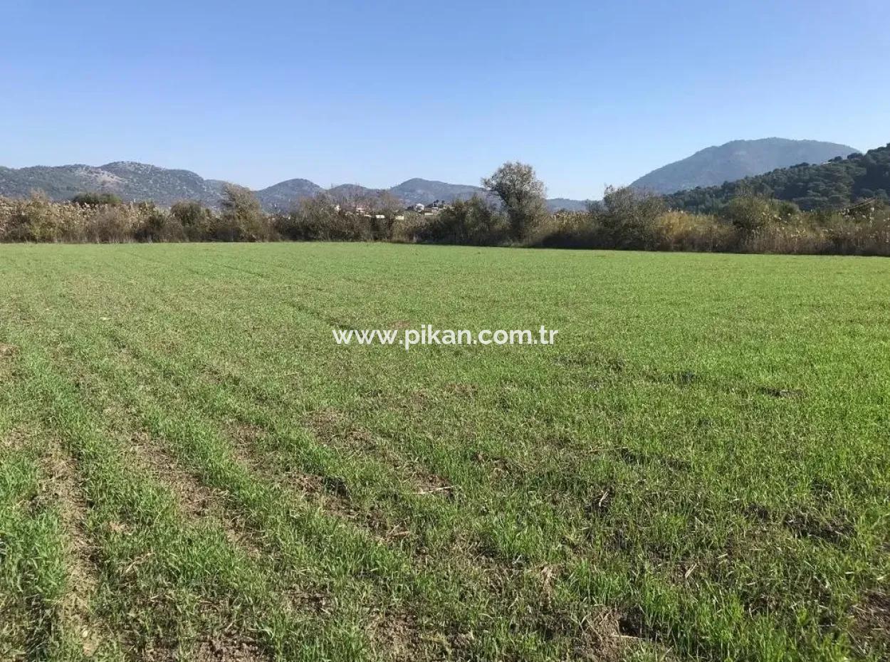 Land Zum Verkauf In Dalaman Auch Public Works And Water Zero