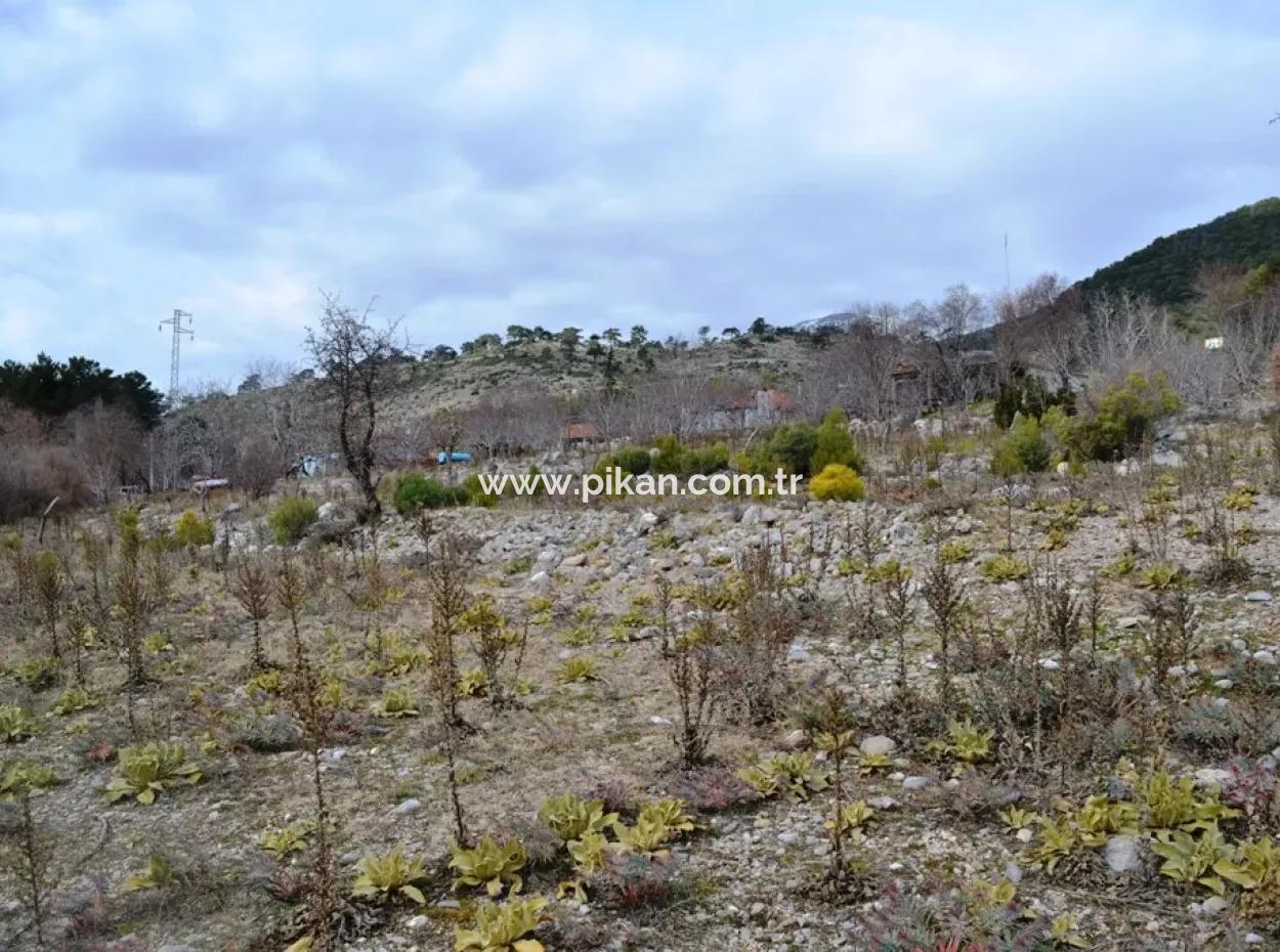 Fethiye, Nifte, 2 000 M2, Freistehend Zu Verkaufen, Schnäppchengrundstück