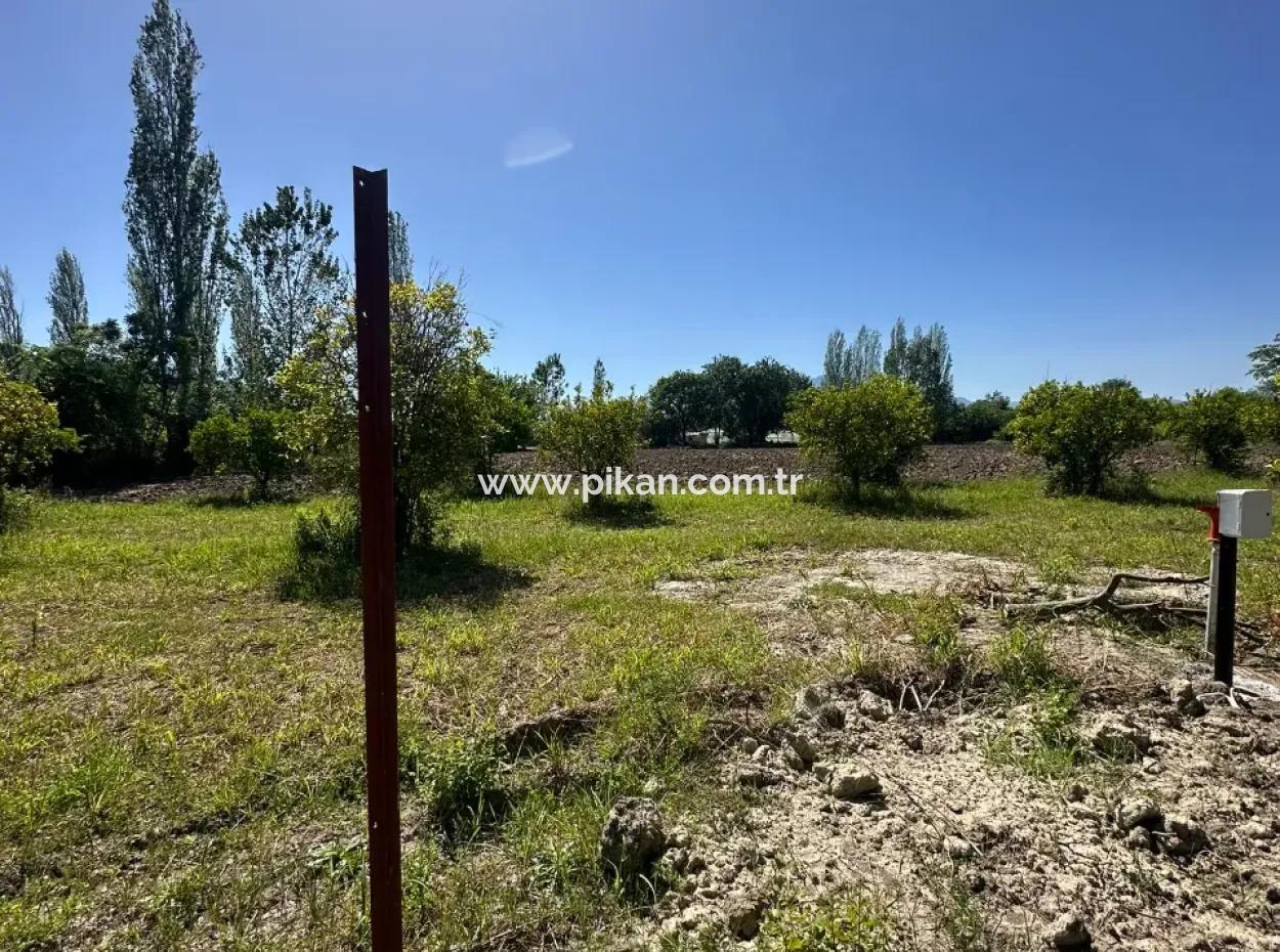 Bogenschützen Auch Zu Verkaufen 500 M2