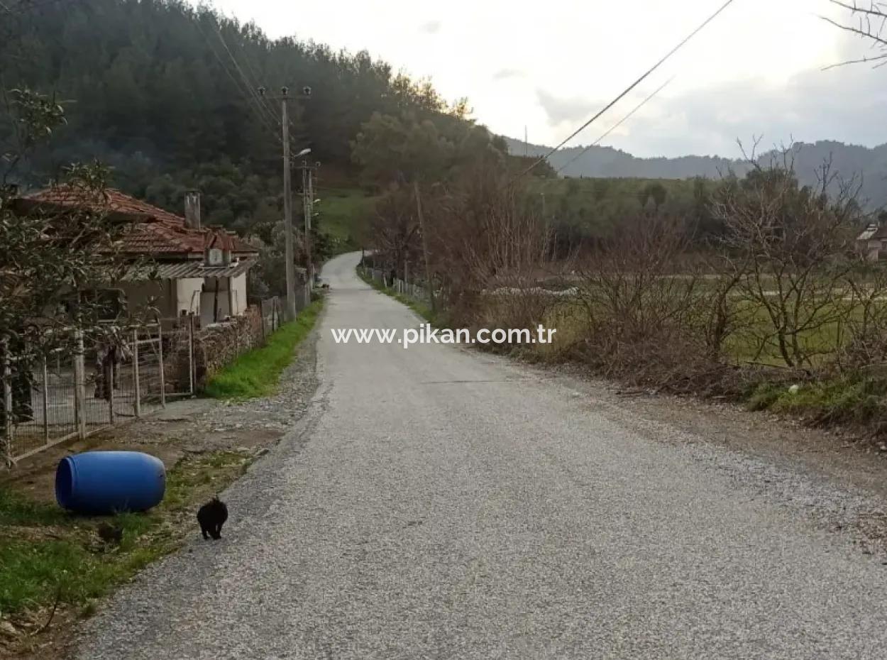 Muğla Ula Karabörtlende Schnäppchen 1 140M2 Grundstück Zum Verkauf