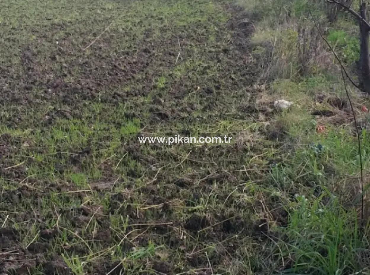 11 450 M2 Feld Zum Verkauf In Muğla Köyceğiz Köyceğiz Nachbarschaft