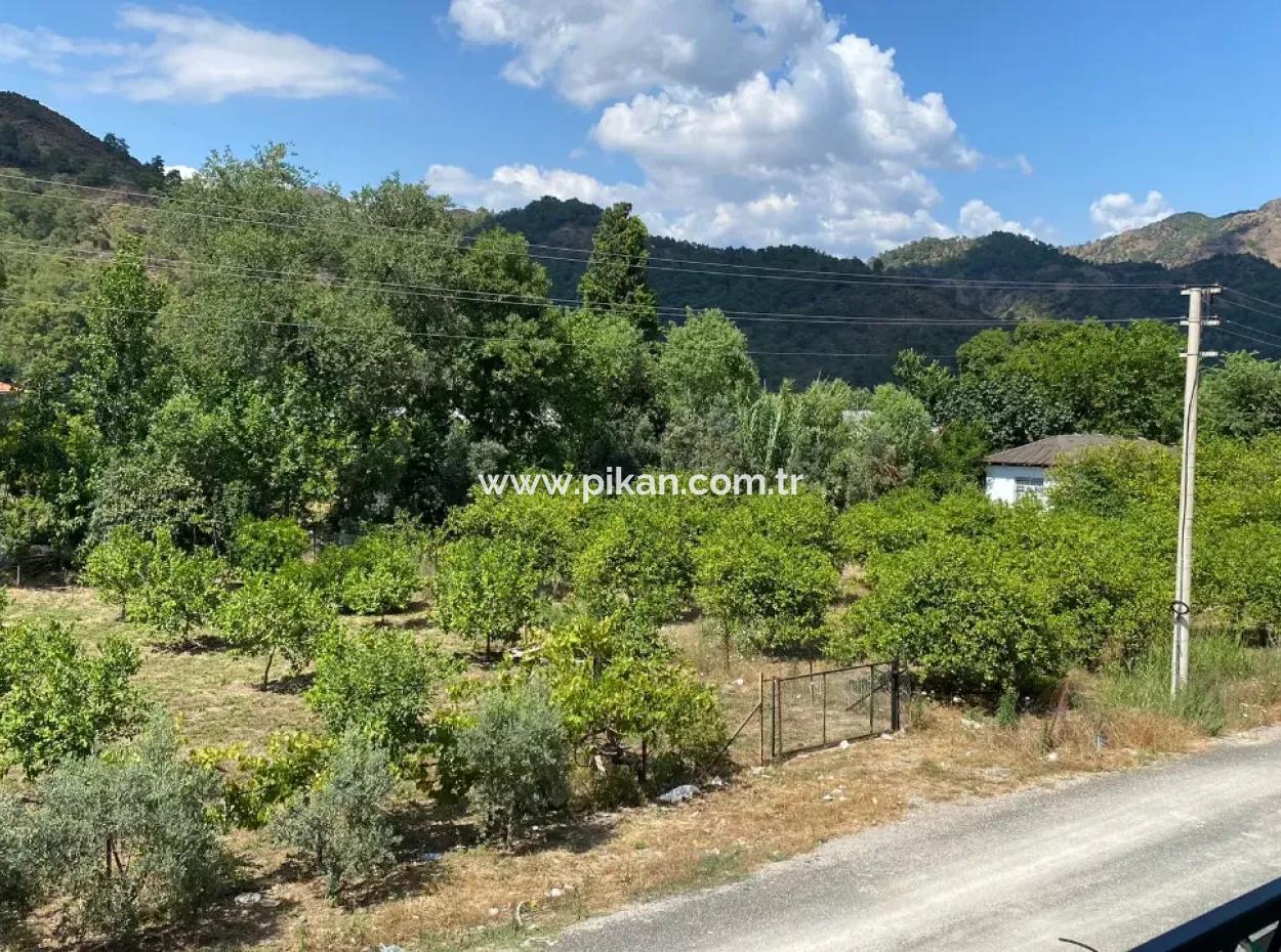 2. Stock 2 1 Brandneue Wohnung Zum Verkauf In Ortaca Çaylı 