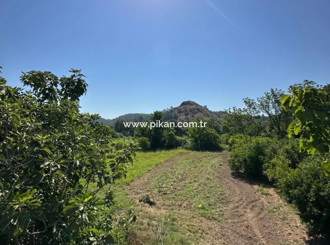 1823 M2 Grundstück Zum Verkauf In Ortaca Akıncı