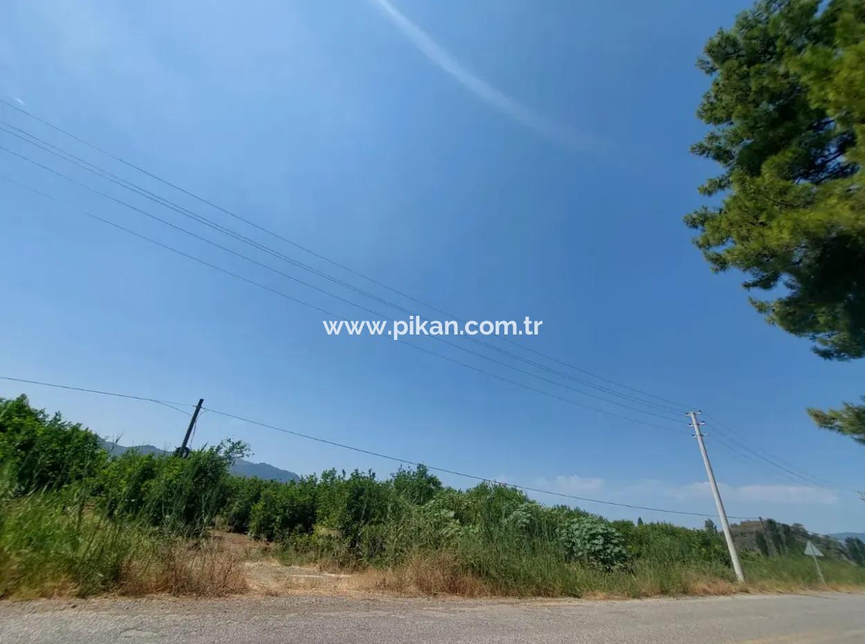 Muğla Ortaca Ekşiliyurtta Roadfront 7.000 M2 Zitronengarten Zu Verkaufen