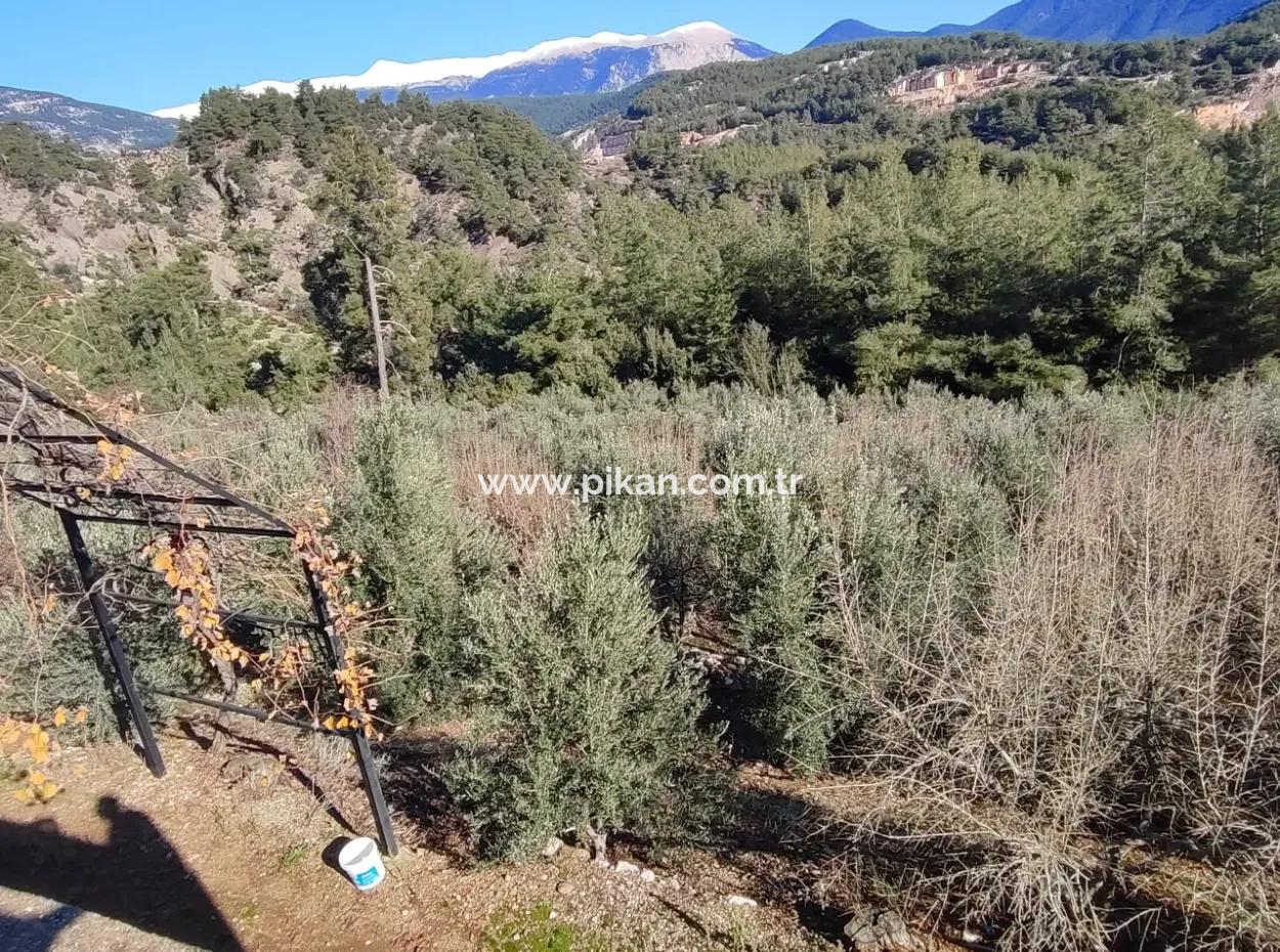120 M2, 3 1 Einstöckiges Haus Zum Verkauf Auf 8500 M2 Land Mit Meer- Und Naturblick In Antalya Finike Alacadağ