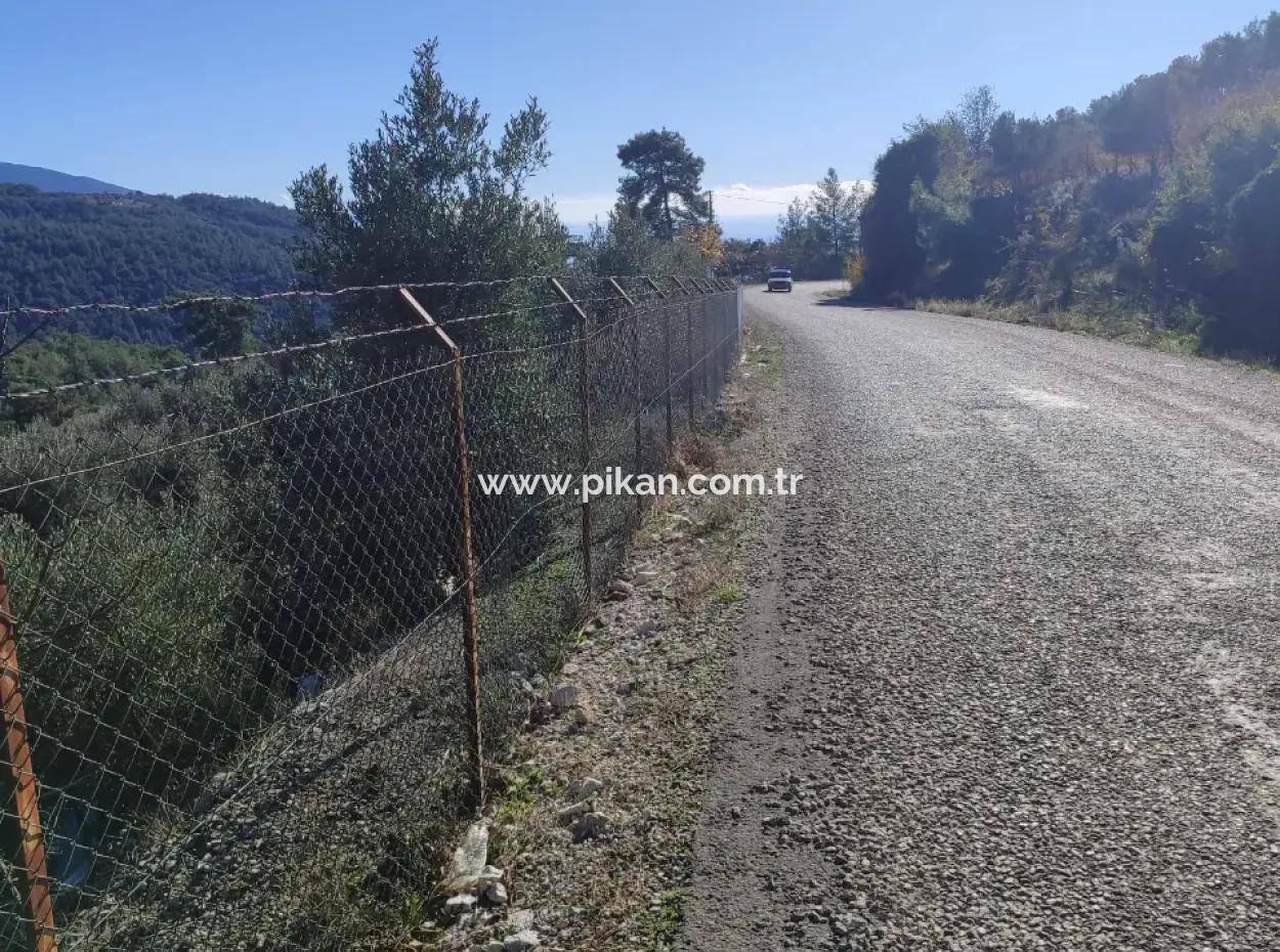 120 M2, 3 1 Einstöckiges Haus Zum Verkauf Auf 8500 M2 Land Mit Meer- Und Naturblick In Antalya Finike Alacadağ