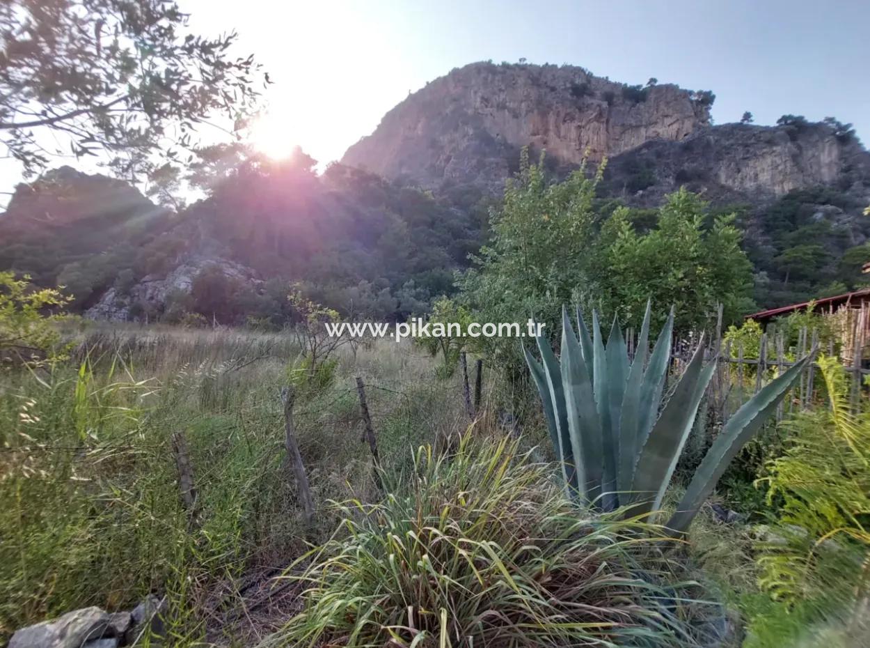 Einstöckiges Haus Zum Verkauf Auf 15 000 M2 Freistehendem Grundstück In Der Nähe Des Dalyan-Kanals In Köyceğiz Çandırda