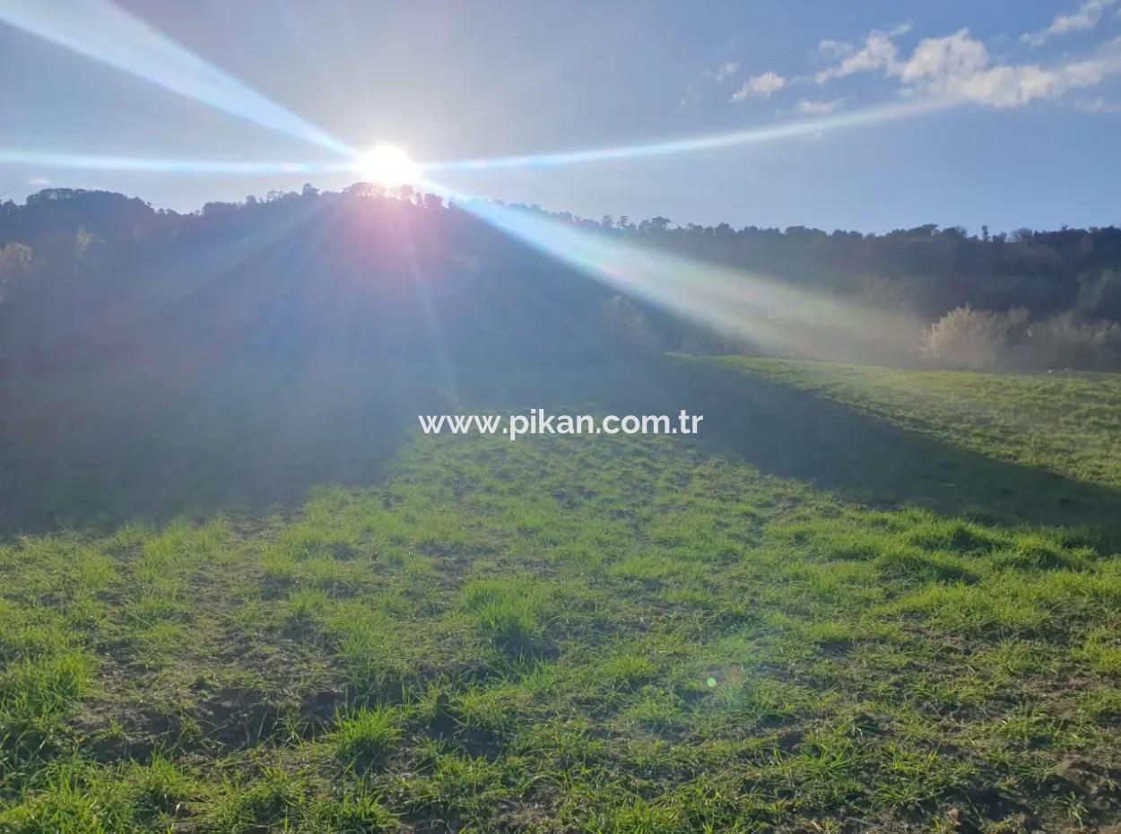 Denizli Çameli Kirazlıyayla Nature View 2 223 M2 Freistehendes Grundstück Zum Verkauf