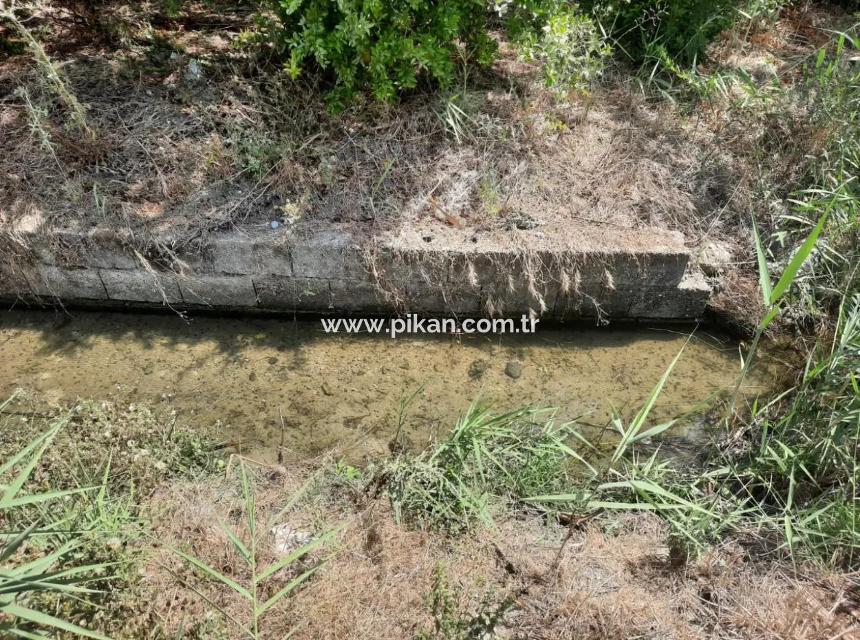 Muğla Dalyanda Mountain Zero, Waterside 10 500 M2 Granatapfelgarten Zum Verkauf