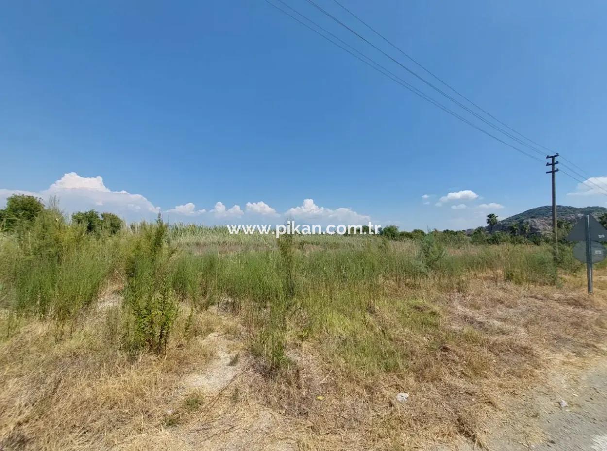 Muğla Ortaca Dalyanda 7.353 M2 Freistehendes Grundstück In Der Nähe Des Kanals Zu Verkaufen