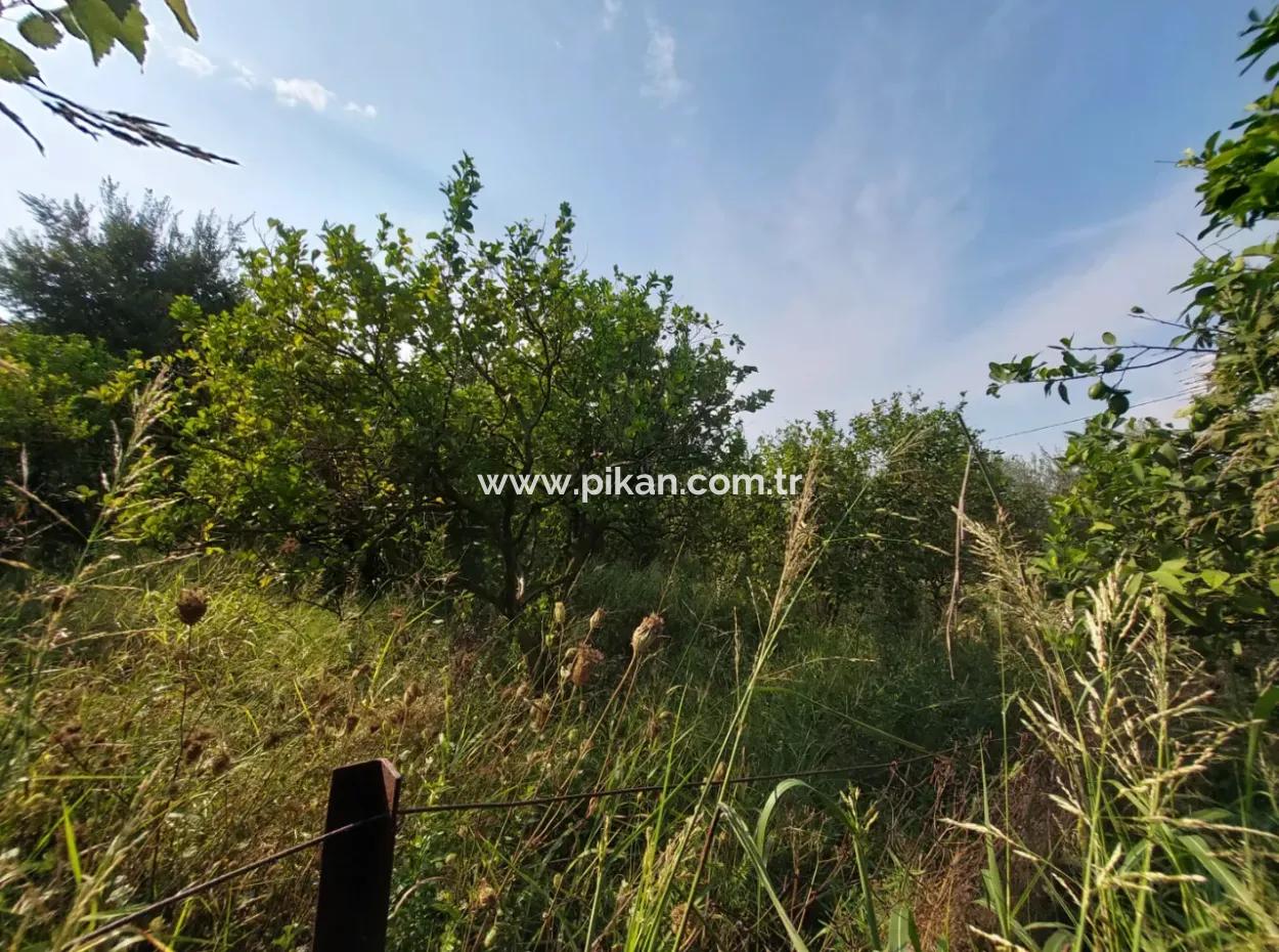 1.000 M2 Land Zum Verkauf In Ortaca Archers