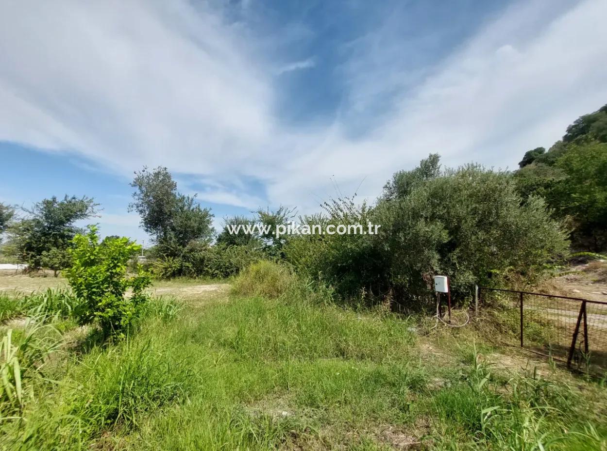 Fruchtbares 1.680 M2 Land Am Berghang Zum Verkauf In Dalyan, Muğla
