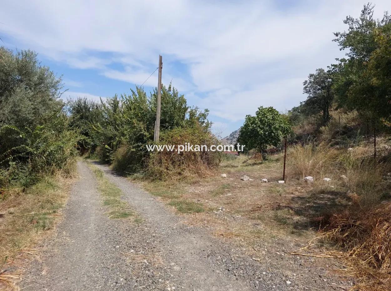 Fruchtbares 1.680 M2 Land Am Berghang Zum Verkauf In Dalyan, Muğla