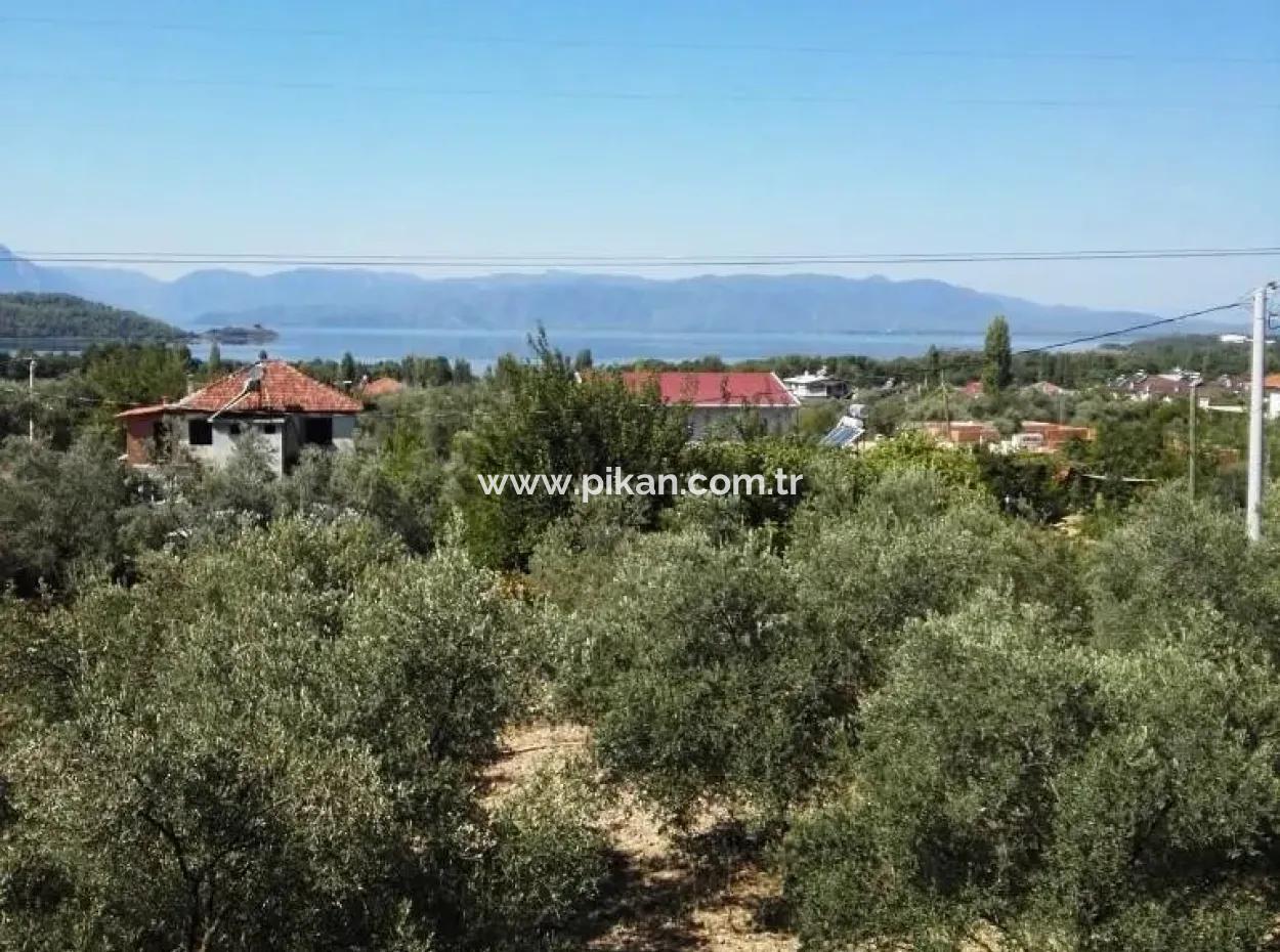 Er Absolvierte Seine Ausbildung An Koycegiz-See-Ansicht-Startseite Für Verkauf