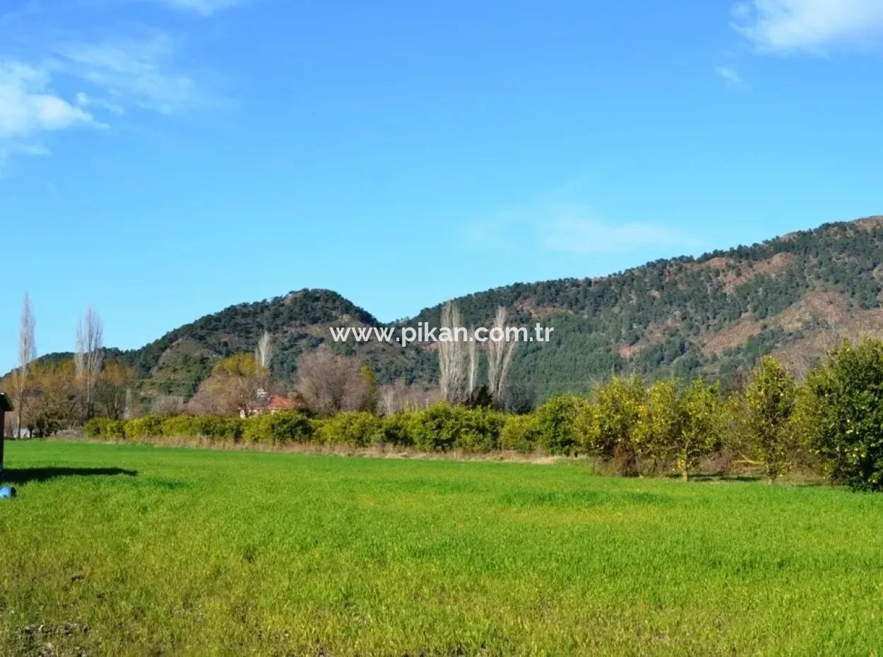 Grundstück Zu Verkaufen Schnäppchen-Einfamilienhaus-Bogenschützen Auch