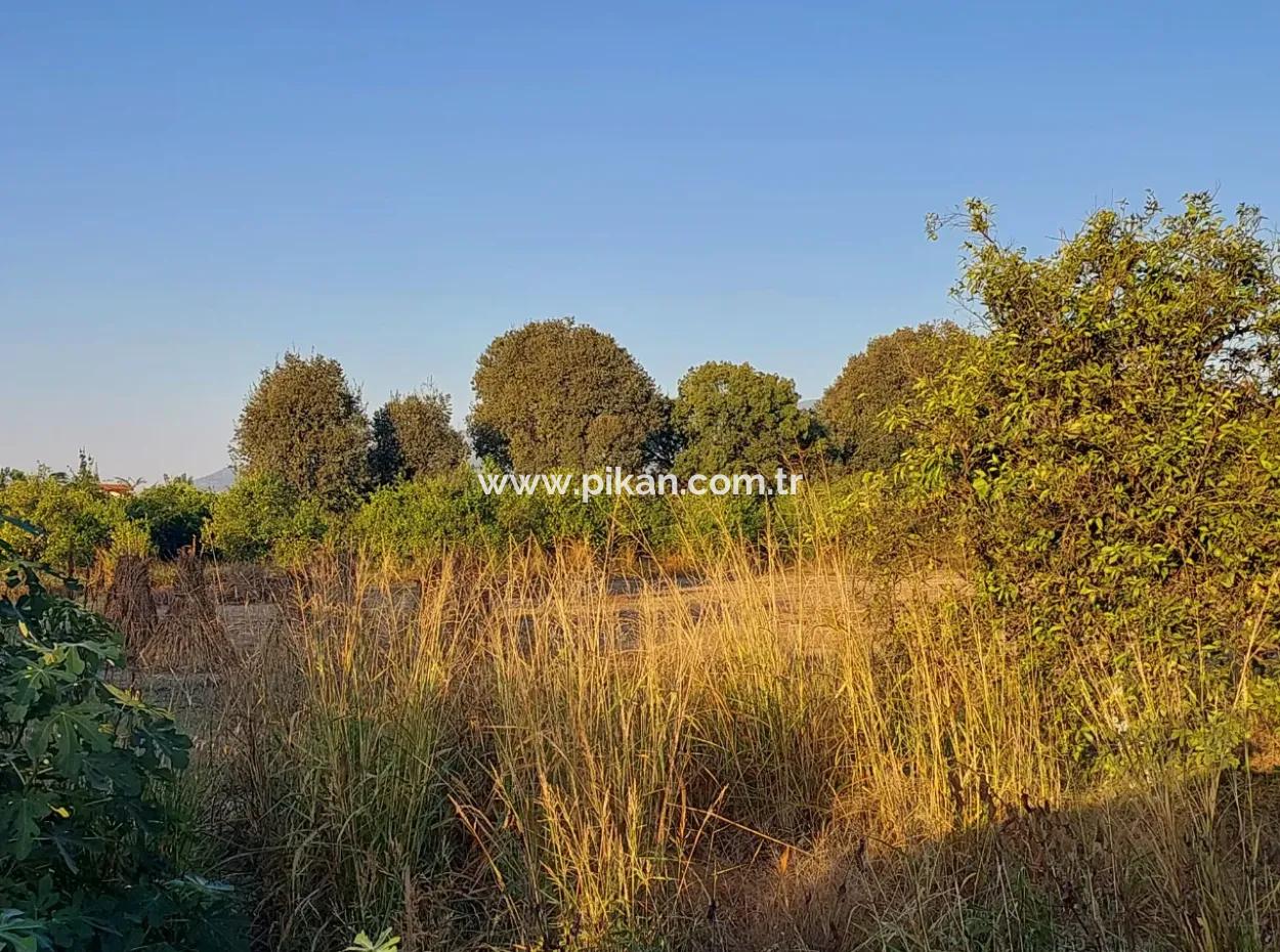 3 700 M2 Grundstück Zum Verkauf An Der Hauptstraße In Muğla Ortaca Kemaliye