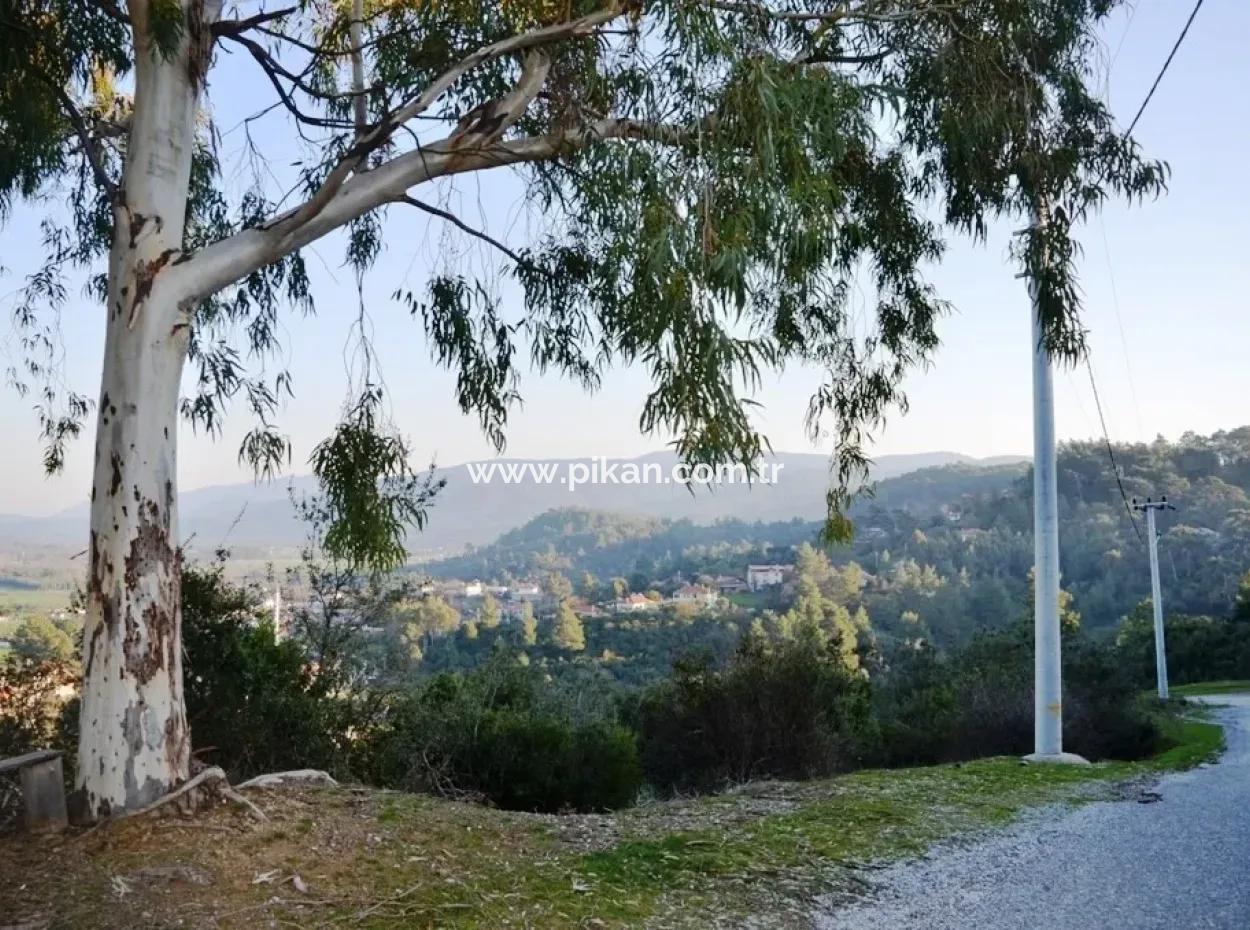 Wohn-Grundstück Zum Verkauf An Schnäppchen Ula Esentepe