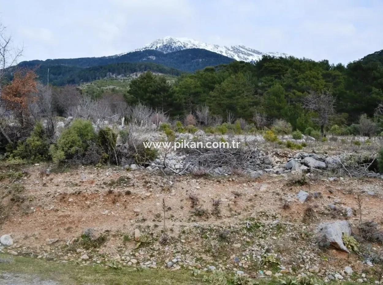 Zum Verkauf Schnäppchen Land In Fethiye Ta Sty