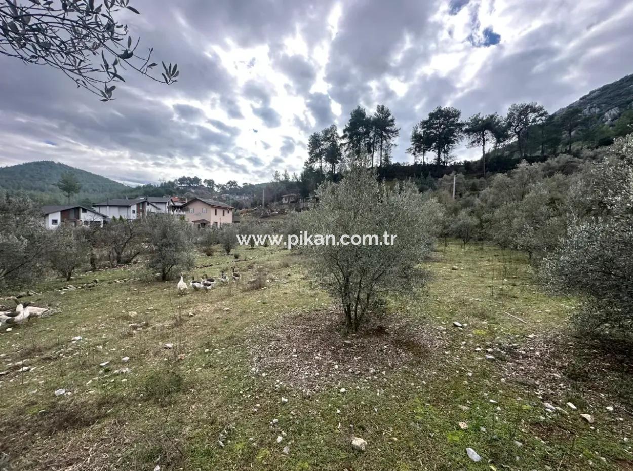 Zu Verkaufen In Fethiye Gökçeovacıkta 1709 M2