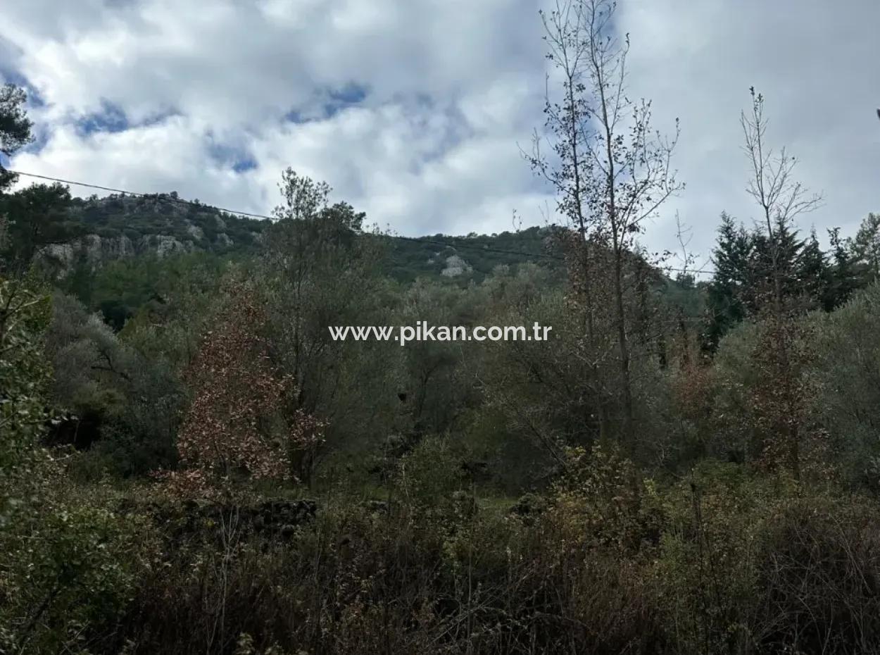 Zu Verkaufen In Fethiye Gökçeovacıkta 1709 M2