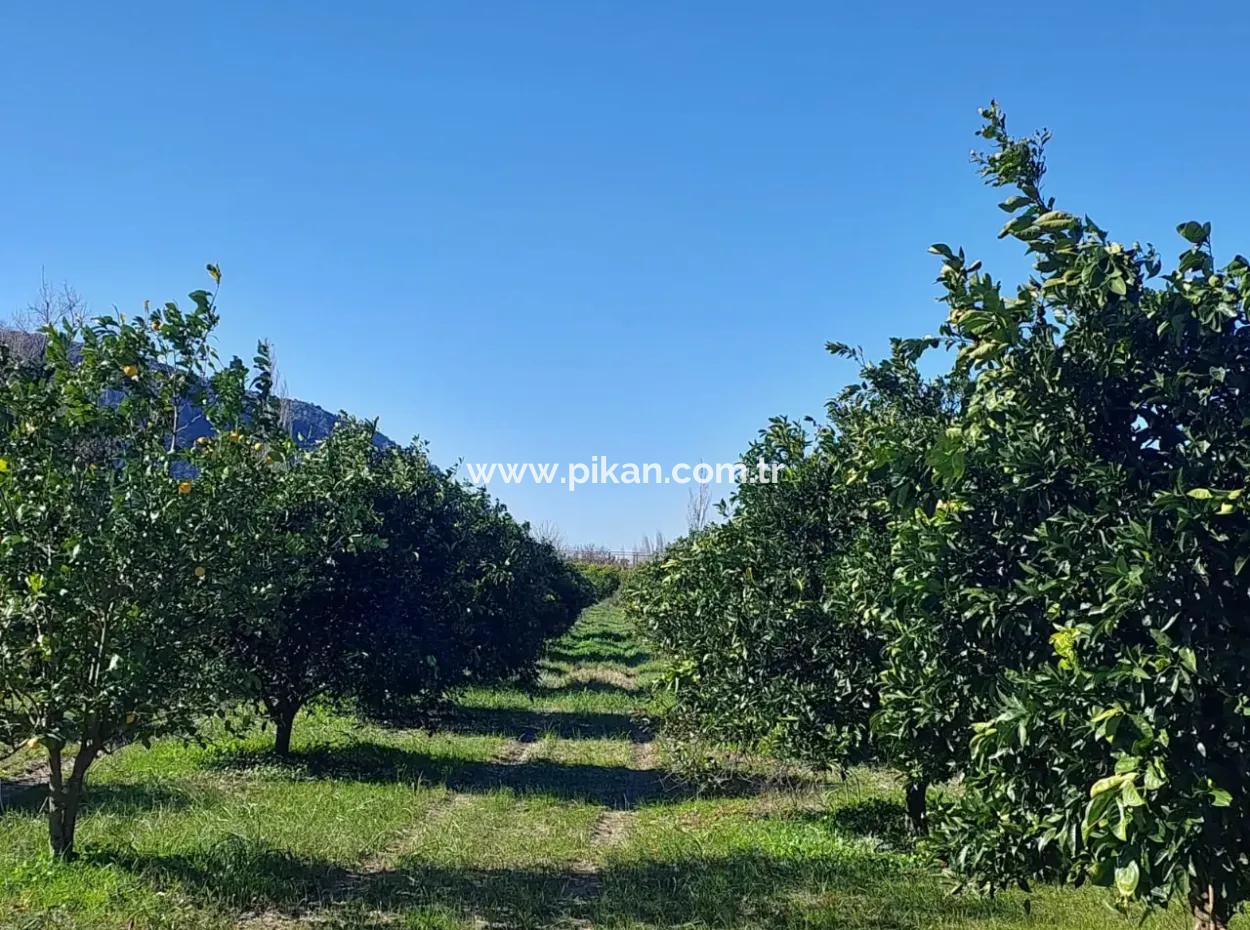 500 M² Land Geeignet Für Investitionen In Muğla Ortaca Okçular Zu Verkaufen