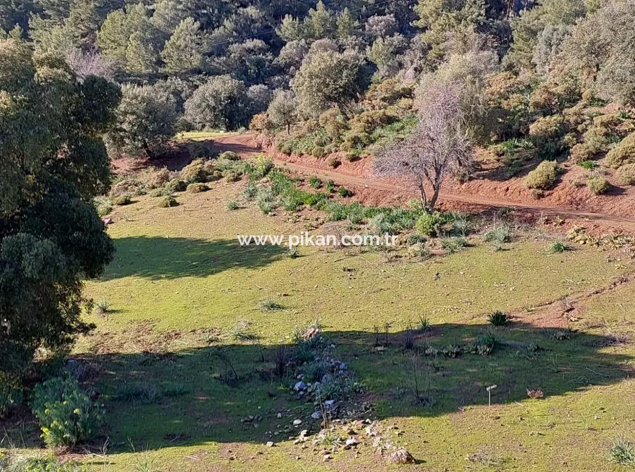 28.350 M2 Grundstück Zum Verkauf In Ortaca Gökbelde Mit Freistehender Eigentumsurkunde Mit Meerblick